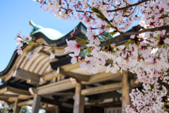 豊国神社