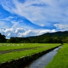 あの夏:2019