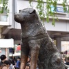 忠犬ハチ公:2018