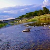 鴨川 夏