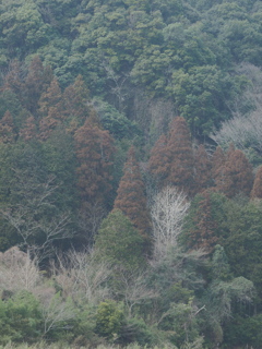 耶馬渓
