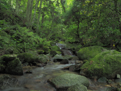 小川