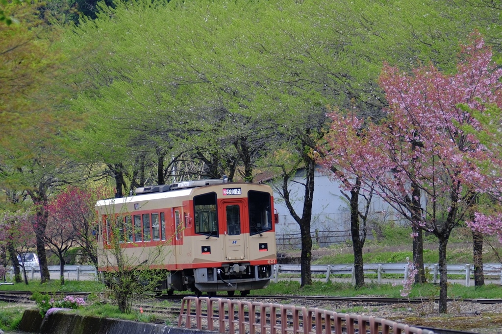 春が残る駅