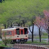 春が残る駅