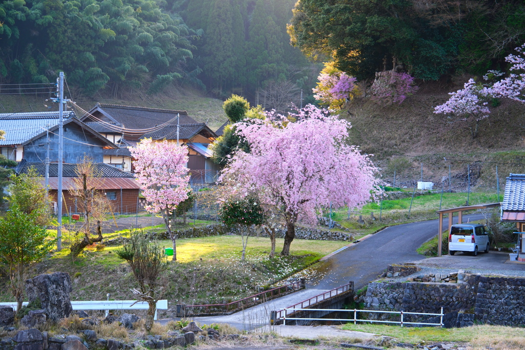 里の春