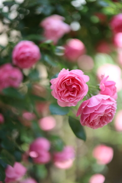 さあ、これから！