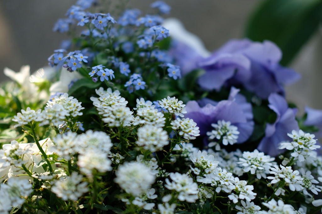 新しいレンズで