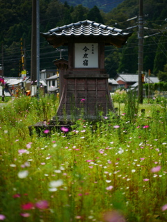 北陸の秋