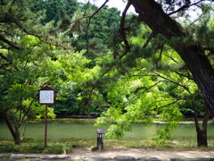 松江城のお堀にて