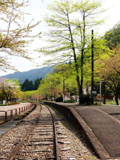 新緑の駅