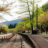新緑の駅