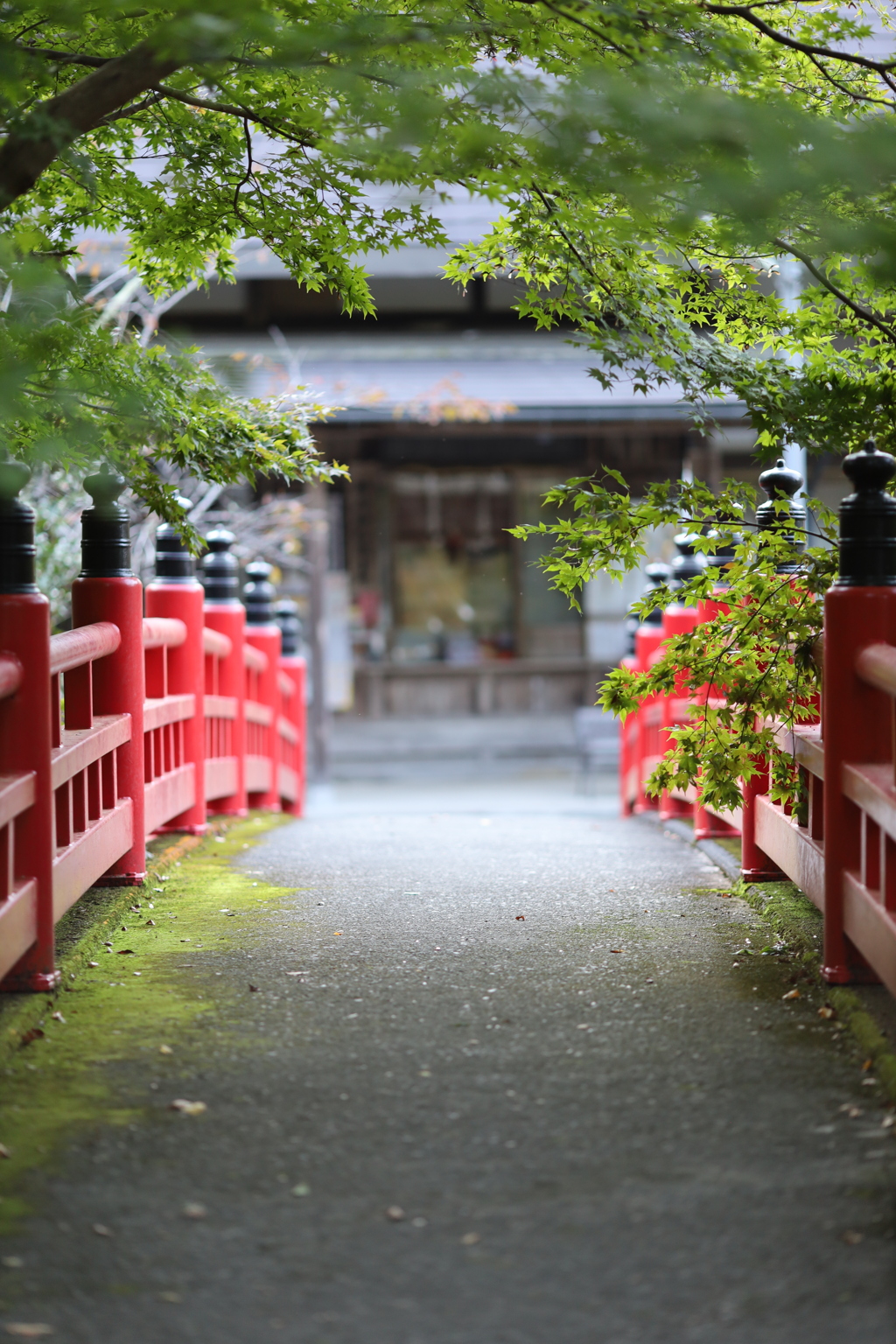 秋の神社