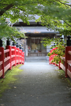 秋の神社