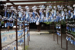 夏の風物詩