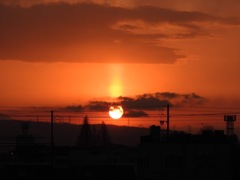 6B2D9118-4C1D-4B02-8A5D-BDB21ADBDBCE
