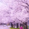 967E5D7A-C1BB-4786-B311-B05D886CBE0C
