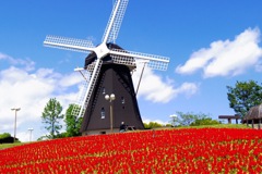 726CCA92-7213-4ED4-AFBB-A4ED6DD016EF