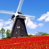 726CCA92-7213-4ED4-AFBB-A4ED6DD016EF