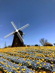 99342F6A-1019-40C4-A7F4-6F76BD9BA8CF