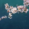 5A918AE4-1F21-4E22-8DD3-1C25B61EABEF