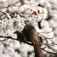 6C5A5FF4-A48E-4FFE-BD5E-B0EE884CFE0A