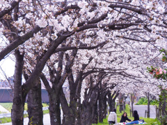 094D329E-F599-4896-9184-5CFAC3DF823F