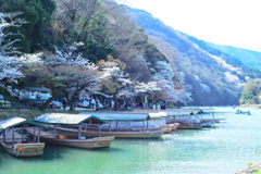 春の嵐山