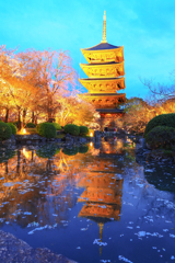 東寺のリフレクション