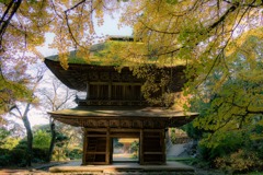 五日市　広徳寺