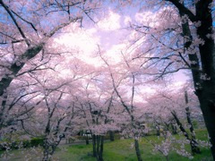 大町公園