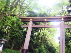 明治神宮