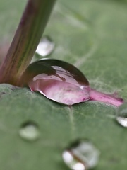自然の美しさ
