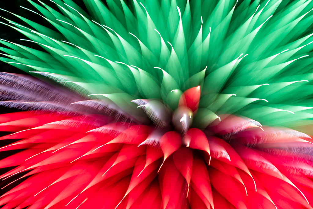 花火