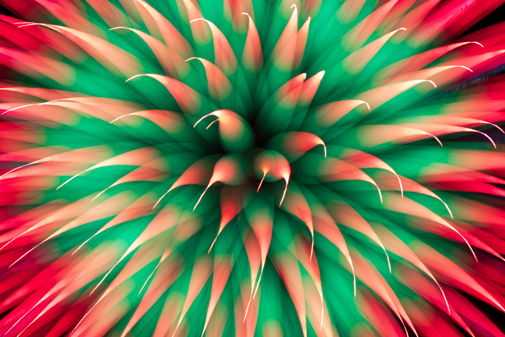 花火