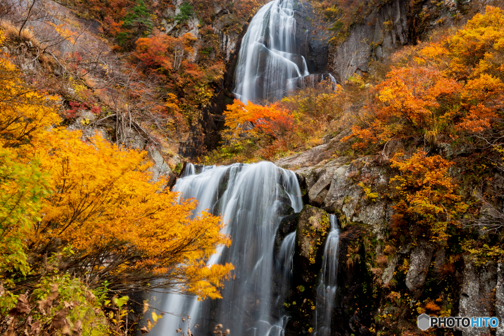 紅葉