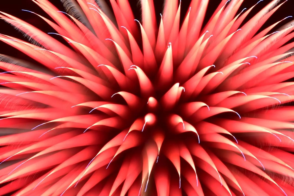花火