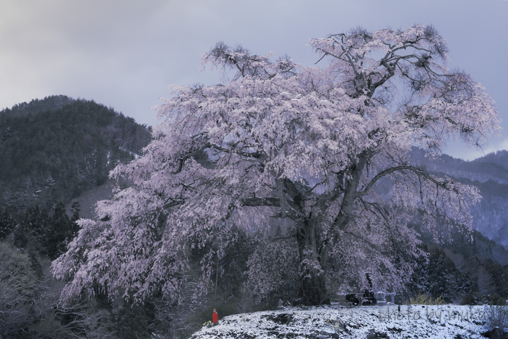 雪の上発地