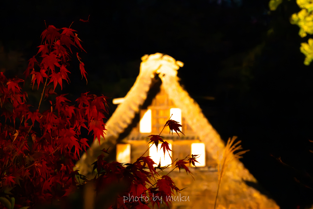 秋夜にて