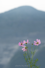 神の山の前で