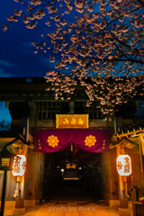 再　密蔵院、夜明けまえ