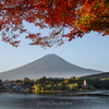 富士　秋の朝景