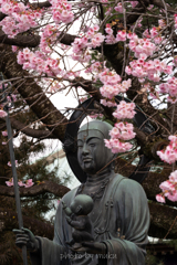 慈しみ