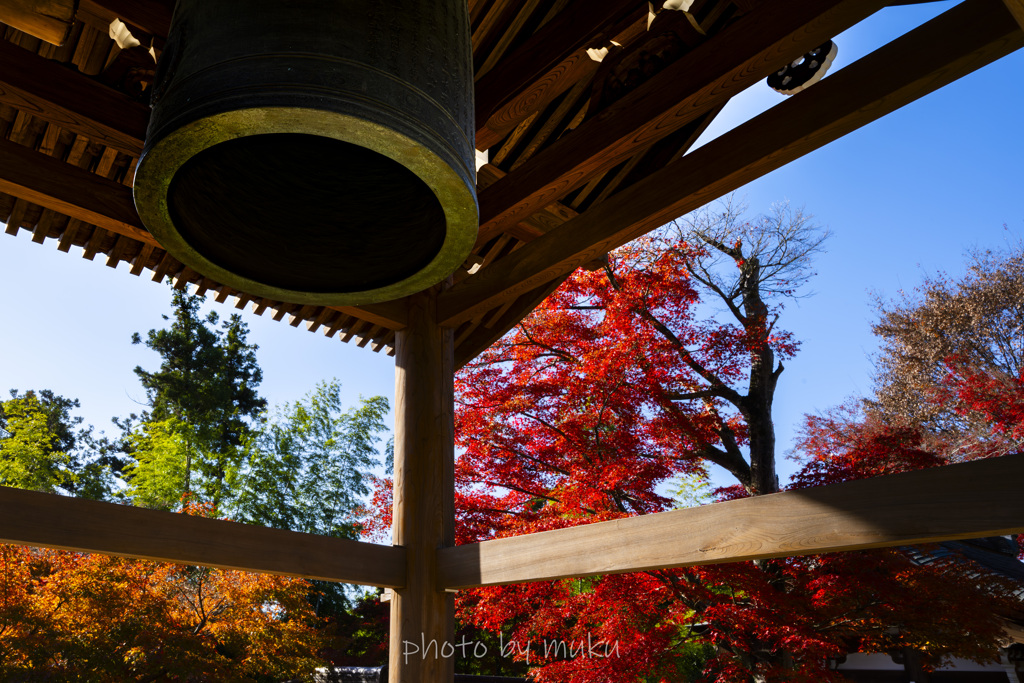 鐘楼と紅葉