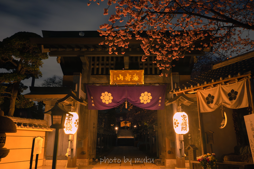 密蔵院、夜明けまえ２