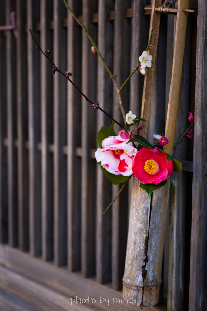 花活け