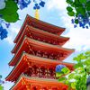 あじさい越しの五重の塔