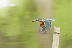 take off