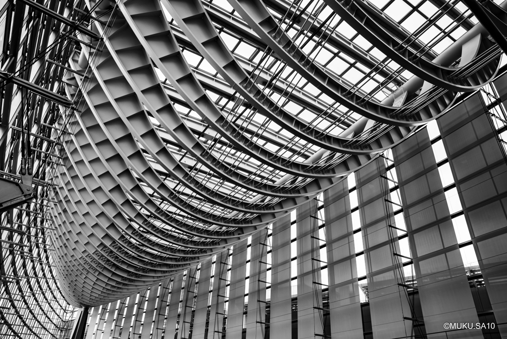 Tokyo International Forum　monochrome