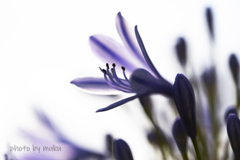 光に包まれる３