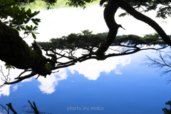 池のなかの青空